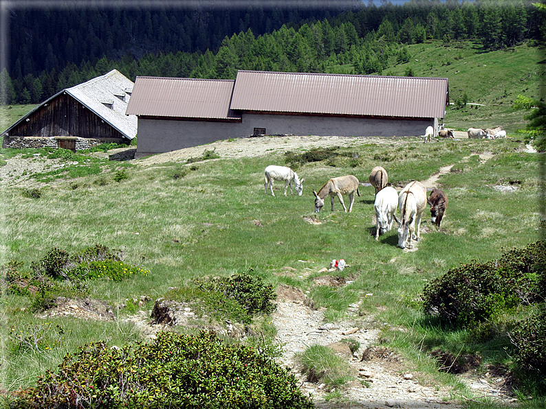 foto Malga Val Cion